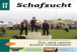 Schafzucht 17/2011 - Dt. Schurmeisterschaft 2011