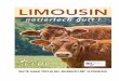 28. Limousin-Jungvieh-Ausstellung
