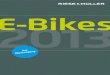 E-Bike-Katalog 2013
