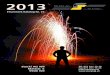 Feuerwerk Katalog 2013