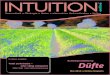 INTUITION online Mai 2013