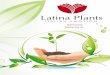 Catalogo Latina Plants tedesco