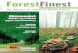 ForestFinest 2/11