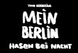 Mein Berlin Hasen bei Nacht - Sampler