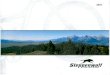 Steppenwolf Katalog 2001