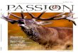 Passion Ausgabe 9