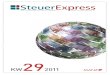 SteuerExpress E-Paper KW 29/2011
