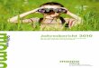 MOMO-Stiftung: Jahresbericht 2010