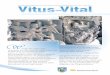Vitus Vital 4/2012