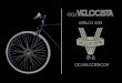 Katalog 2013 Cicli Velocista
