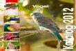 Katalog Vogel 2012