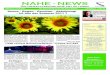 Nahe-News die Internetzeitung KW 26_2011