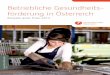 Betriebliche Gesundheitsförderun in Österreich - Beispiele guter Praxis 2014