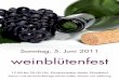 Weinbl¼tenfest am 5. Juni 2011