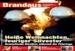 1/2010 Brandaus - die Zeitschrift der niederösterreichischen Feuerwehren