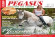 Pegasus Heftvorschau 07/2010