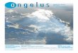 Angelus n° 37-38 / 2013