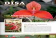 DISA – Newsletter für den Botanischen Garten Hamburg 1/2012