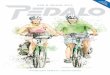 PEDALO Radwander-Katalog 2015
