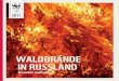 Waldbrände in Russland - Ursachen und Folgen