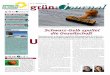 Grünjournal Nr 37 November 2010
