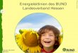 Energieleitlinien des BUND Hessen