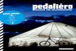 pedaliero No 28 "Reise Spezial 2011"