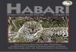 2008 - 4 Habari
