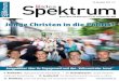 Idea Spektrum Schweiz 47/2013