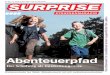 Surprise Strassenmagazin 231/10
