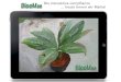 BlooMee Learning Plant Concept