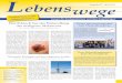 Lebenswege - Zeitschrift für Krebspatienten und ihre Angehörigen Ausgabe 47