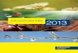 ÖVP-Kalender 2013