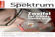 Idea Spektrum Schweiz 30/2014