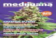 Medijuana 16