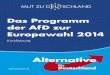 AfD Europawahl Programm Kurzfassung