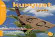 Kumquat 11 2 gratis web