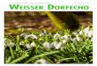 Weisser Dorfecho 154