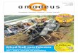 amadeus Magazin 11/2013