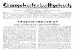 Gasschutz Und Luftschutz 1933 Nr.3 März