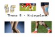 Thema B - Kniegelenk. Aufgaben: Beschreibt den Aufbau des Kniegelenks. Erläutert die Funktion von Knorpel und Gelenkflüssigkeit. Zeigt den jeweiligen