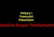 Wolfgang´s Powerpoint Präsentation Erstaunliche Raupen Transformationen