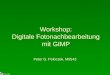 PGP II/08 Workshop: Digitale Fotonachbearbeitung mit GIMP Peter G. Poloczek, M5543