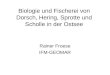 Biologie und Fischerei von Dorsch, Hering, Sprotte und Scholle in der Ostsee Rainer Froese IFM-GEOMAR