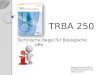 TRBA 250 Technische Regel für Biologische Arbeitsstoffe Georg Scheitzach, Hygienefachberater SH Wöllzenmüller