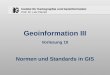 Institut für Kartographie und Geoinformation Prof. Dr. Lutz Plümer Geoinformation III Vorlesung 10 Normen und Standards in GIS