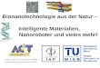 Bionanotechnologie aus der Natur – Intelligente Materialien, Nanoroboter und vieles mehr!