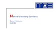 N ovell Directory Services Bernd Holzmann 19.06.2015