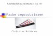 Farbe reproduzieren Fachdidaktikseminar SS 07 Christian Roithner
