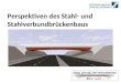 Perspektiven des Stahl- und Stahlverbundbrückenbaus Zügig, günstig: Die Verbundbrücke